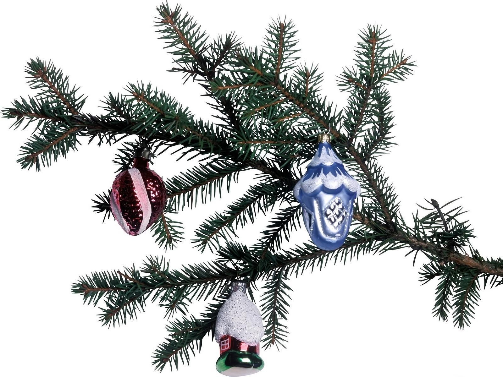 Christmas ornaments on a branch