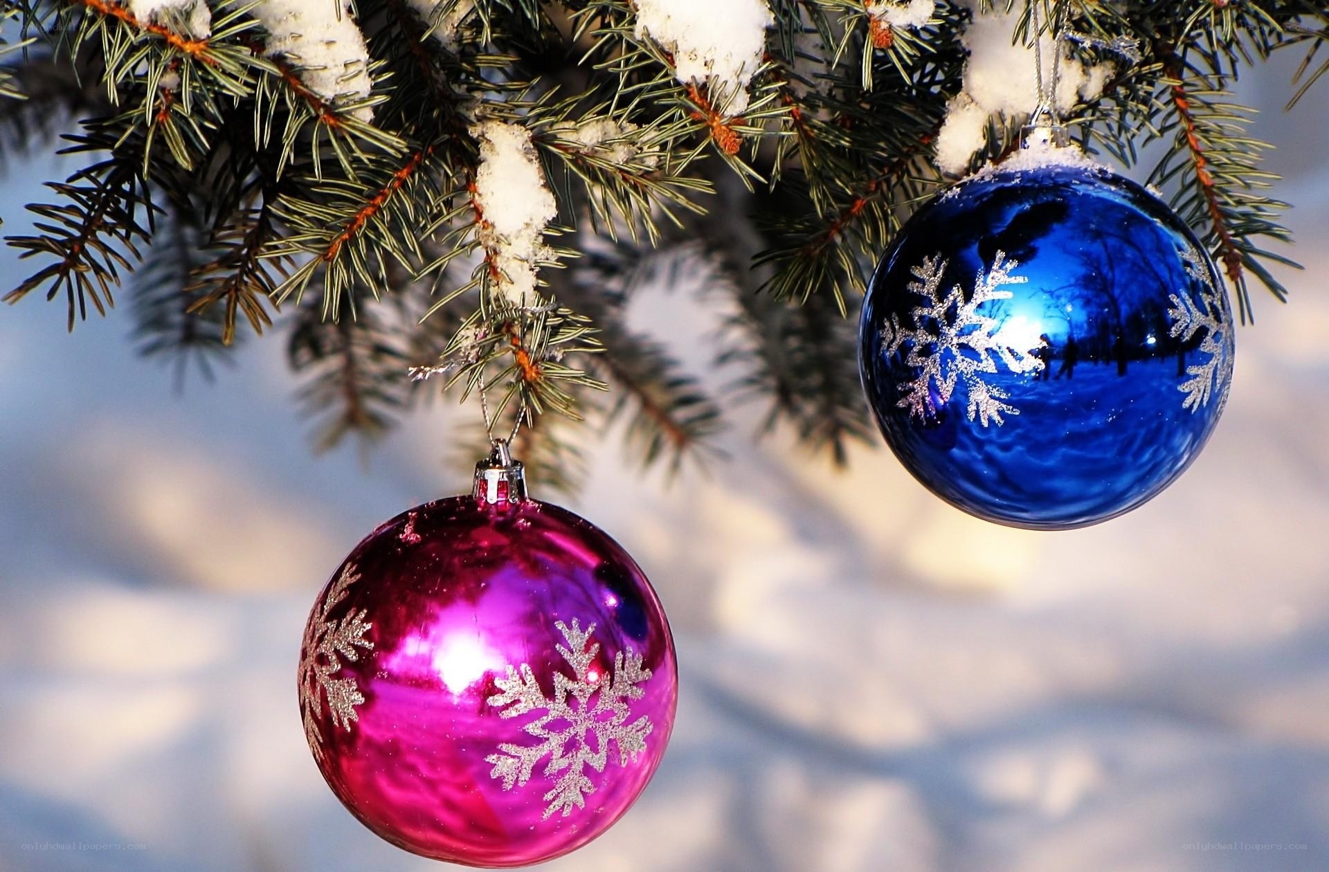 Christmas ornaments on a snowy branch