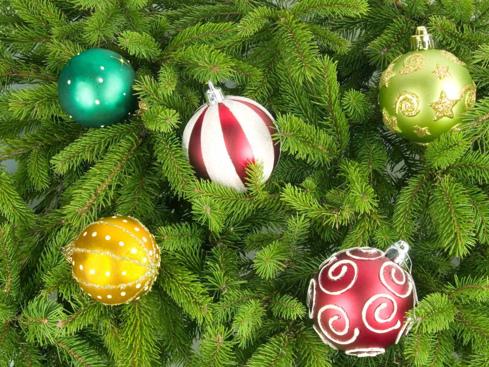 Christmas ornaments on a tree
