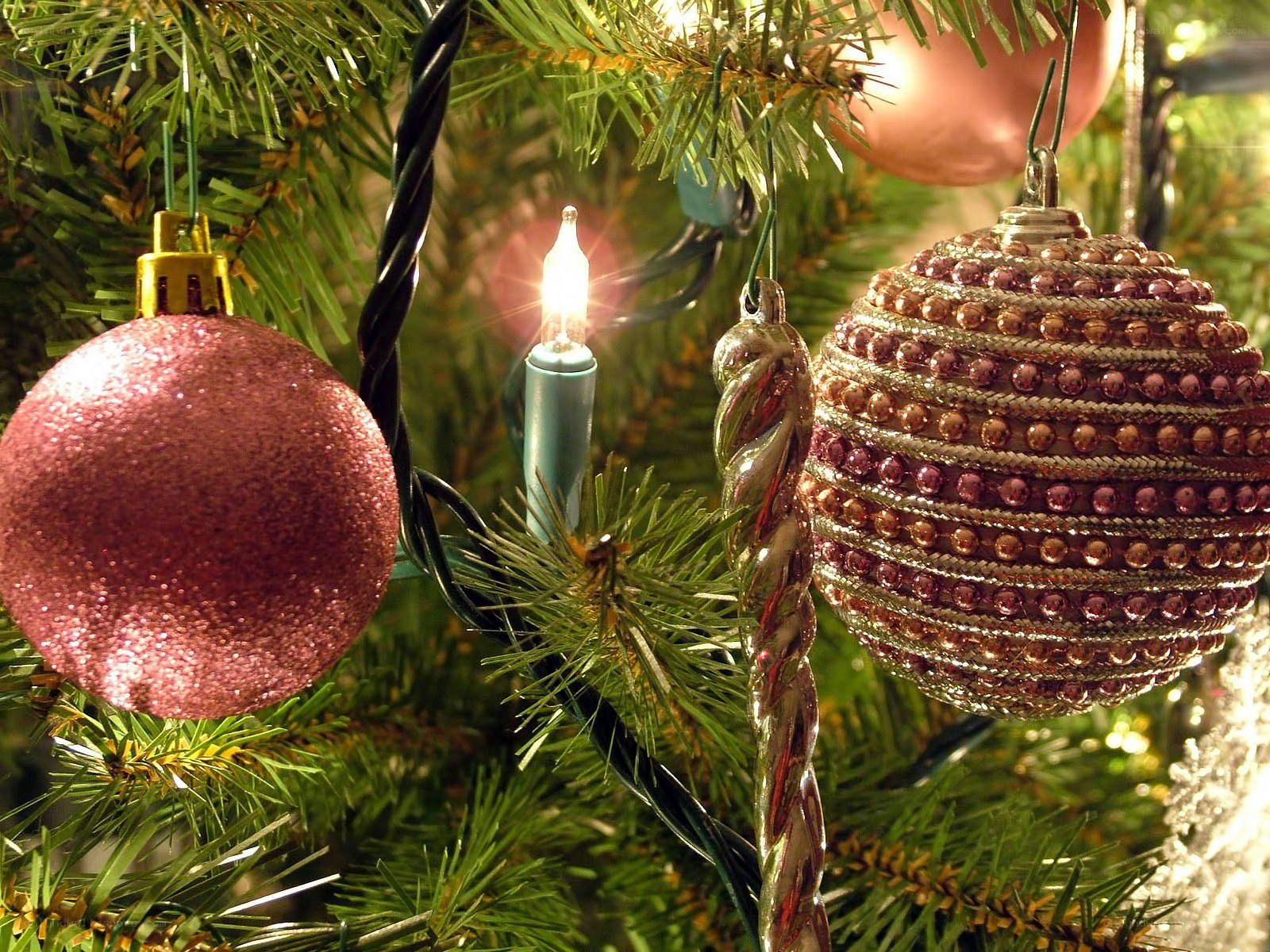 Christmas ornaments on a tree