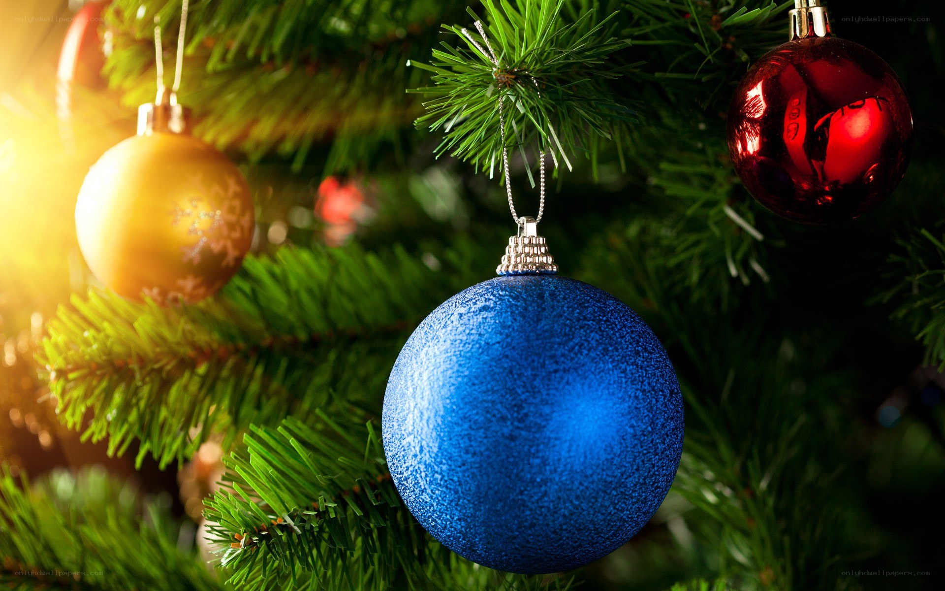 Christmas ornaments on a tree