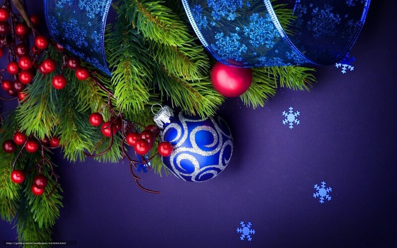 Christmas Ornaments on Branch — Blue, Festive, Winter, Photograph, Berries