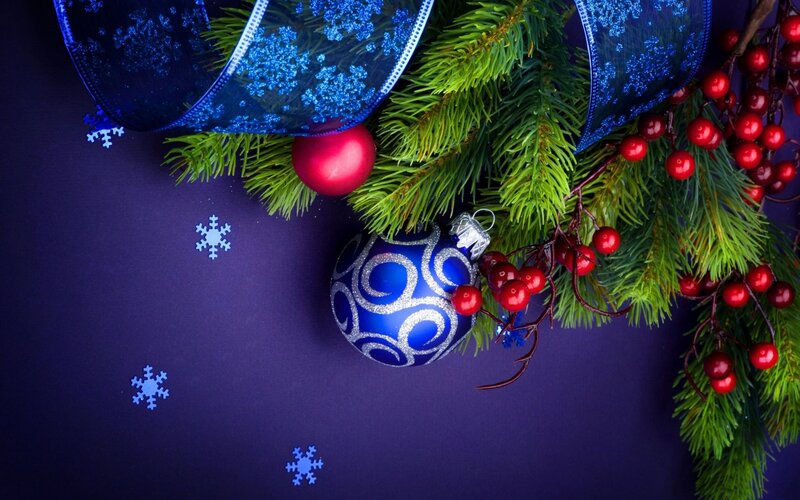 Christmas Ornaments on Branch — Blue, Festive, Winter, Photograph, Pine Branches
