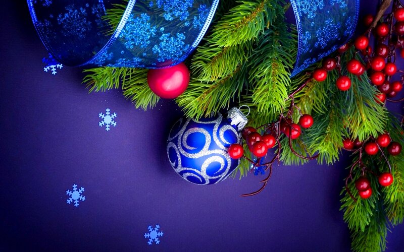 Christmas Ornaments on Branch — Blue, Festive, Winter, Photograph, Pine Needles