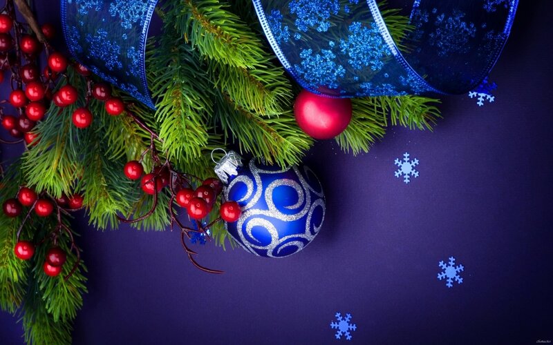 Christmas Ornaments on Branch — Blue, Festive, Winter, Photograph