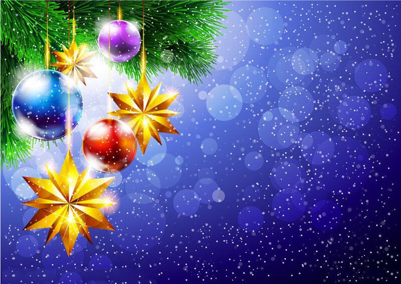 Christmas Ornaments on Branch — Blue, Festive, Winter