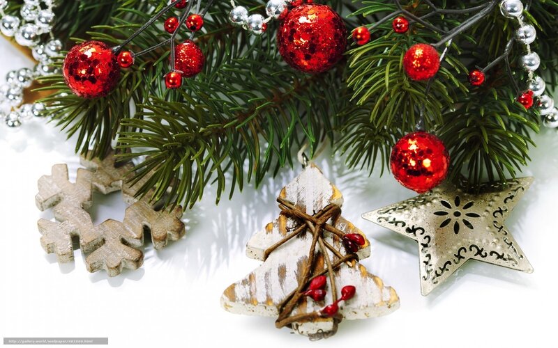 Christmas Ornaments on Branch — Green, Festive, Winter, Photograph, Snowflake, Tree