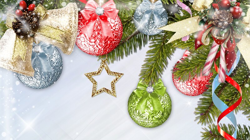Christmas Ornaments on Branch — Green, Festive, Winter