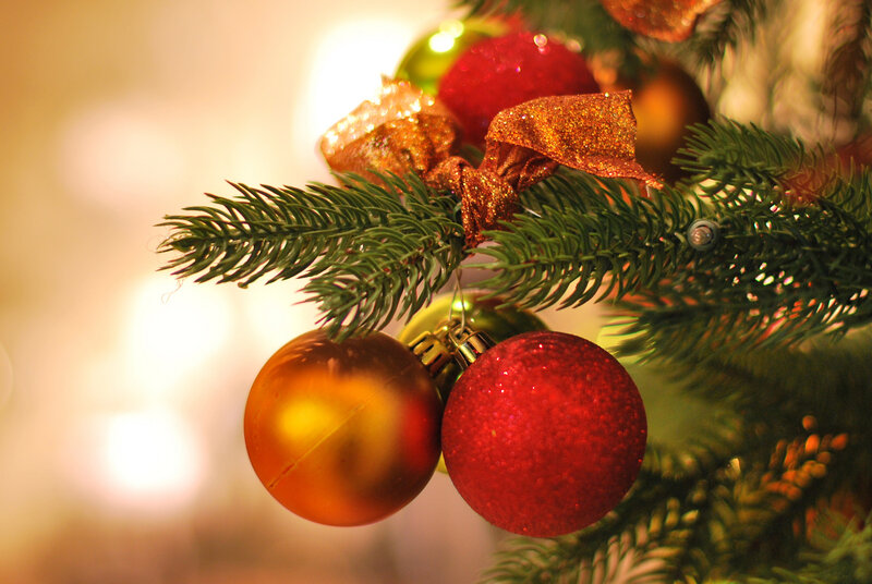 Christmas Ornaments on Branch — Red, Festive, Winter, Photograph, Ribbon