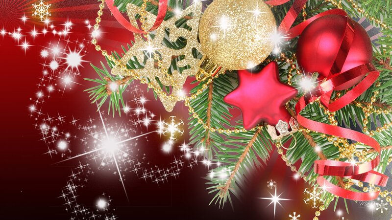Christmas Ornaments on Branch — Red, Festive, Winter