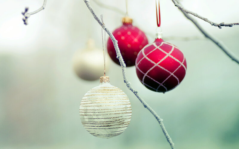 Christmas Ornaments on Branch — Red, Serene