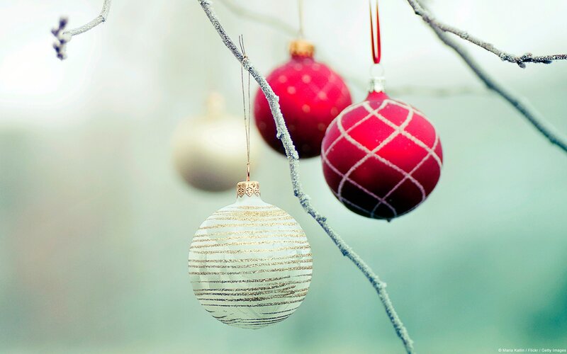 Christmas Ornaments on Branch — Red, Serene, Winter, Photograph