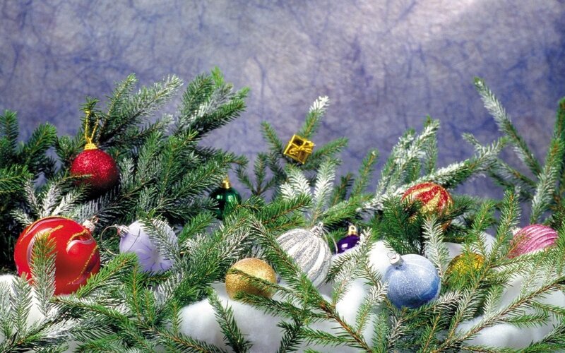 Christmas Ornaments on Branches — Green, Festive, Winter