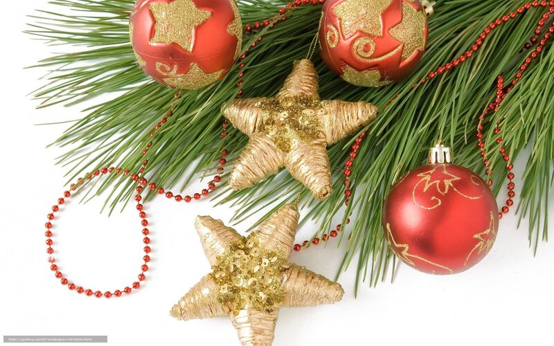 Christmas Ornaments on Pine — Red, Festive, Winter, Photograph