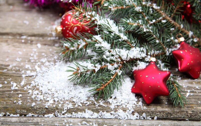 Christmas ornaments on snowy branch