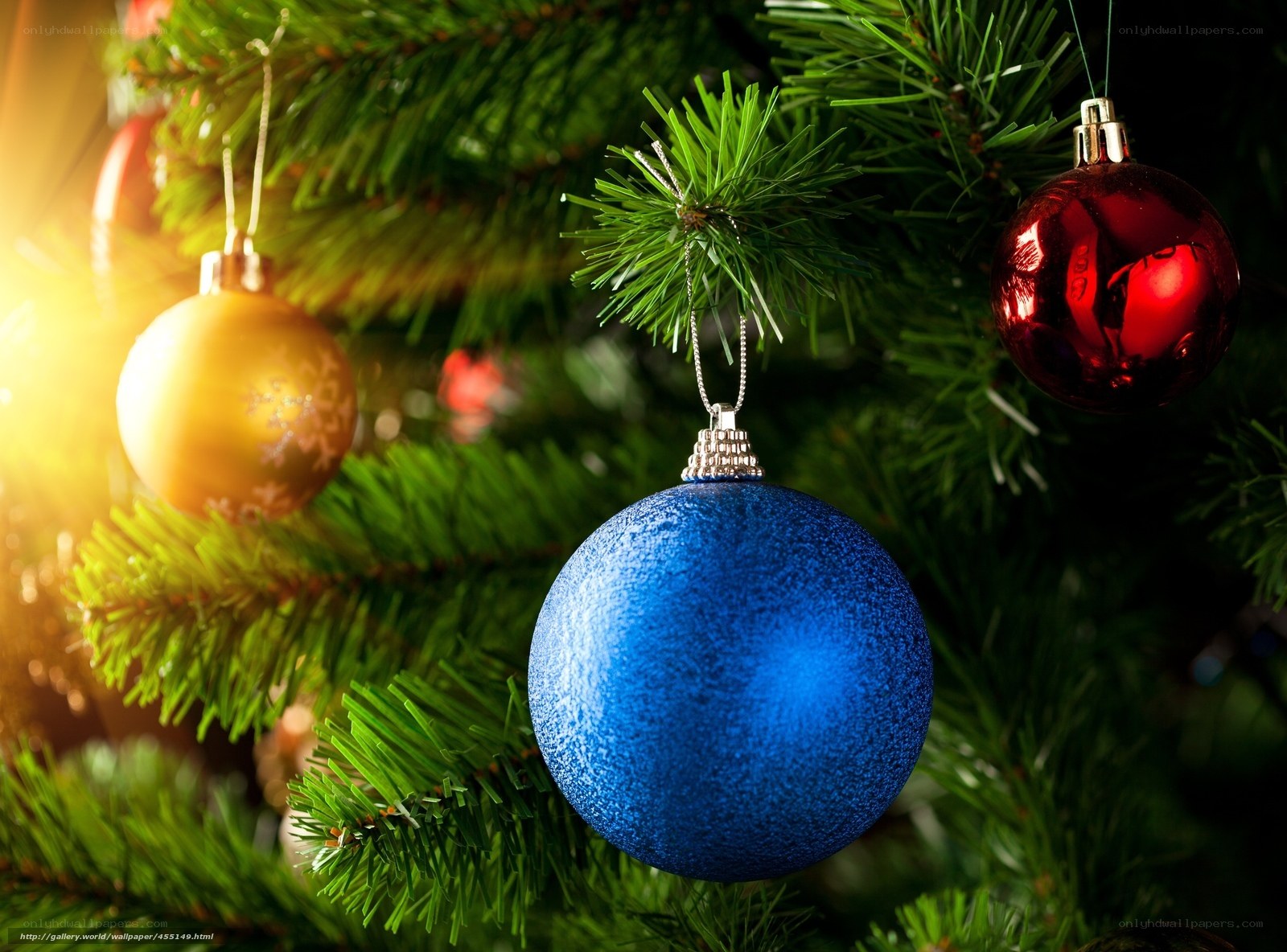Christmas ornaments on tree