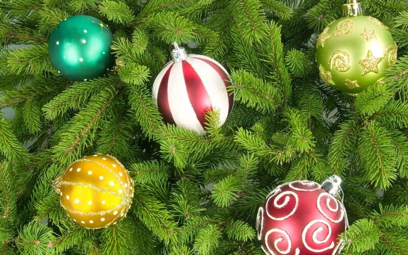 Christmas Ornaments on Tree — Green, Festive, Winter, Photograph, Pine Needles, Decorations, Red