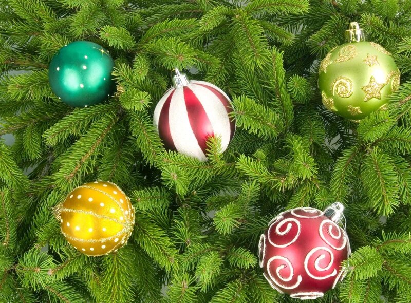 Christmas Ornaments on Tree — Green, Festive, Winter, Photograph, Pine Needles, Decorations