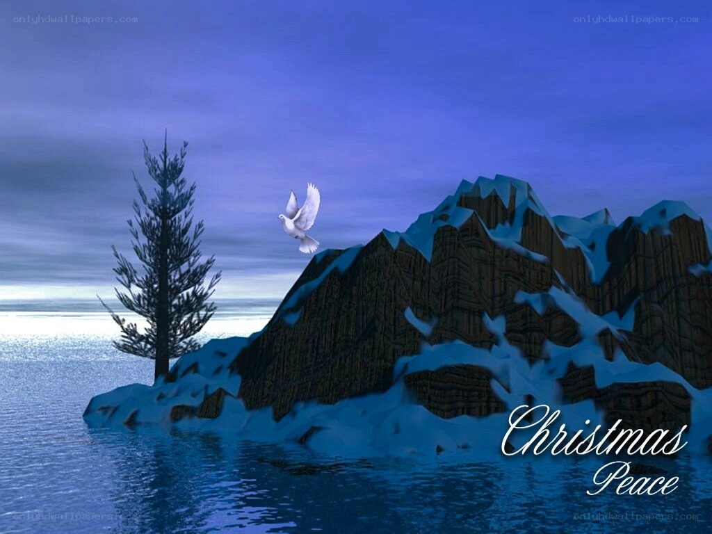 Christmas peace dove