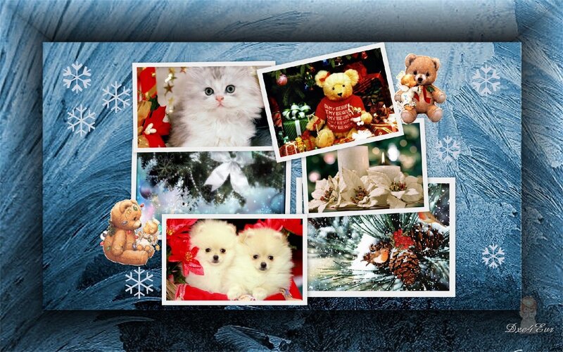 Christmas photo collage with pets
