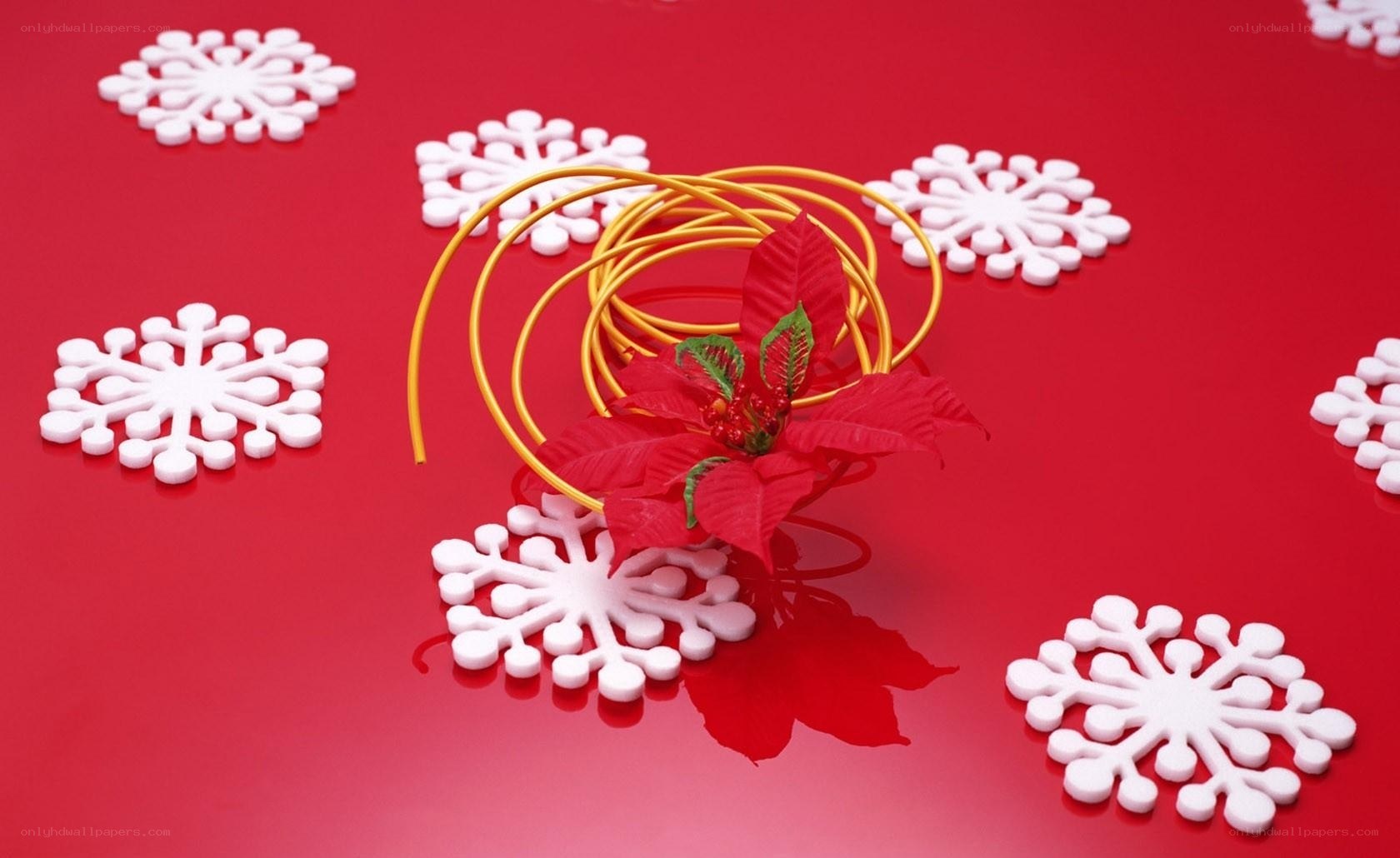 Christmas poinsettia and snowflakes