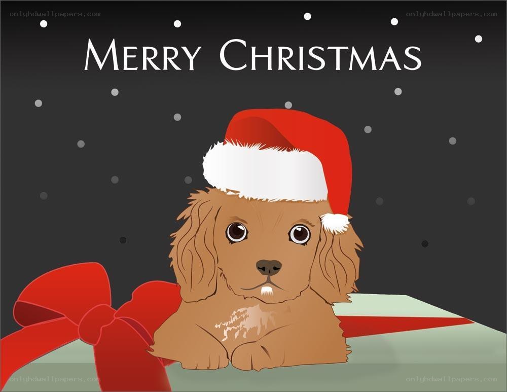 Christmas puppy card