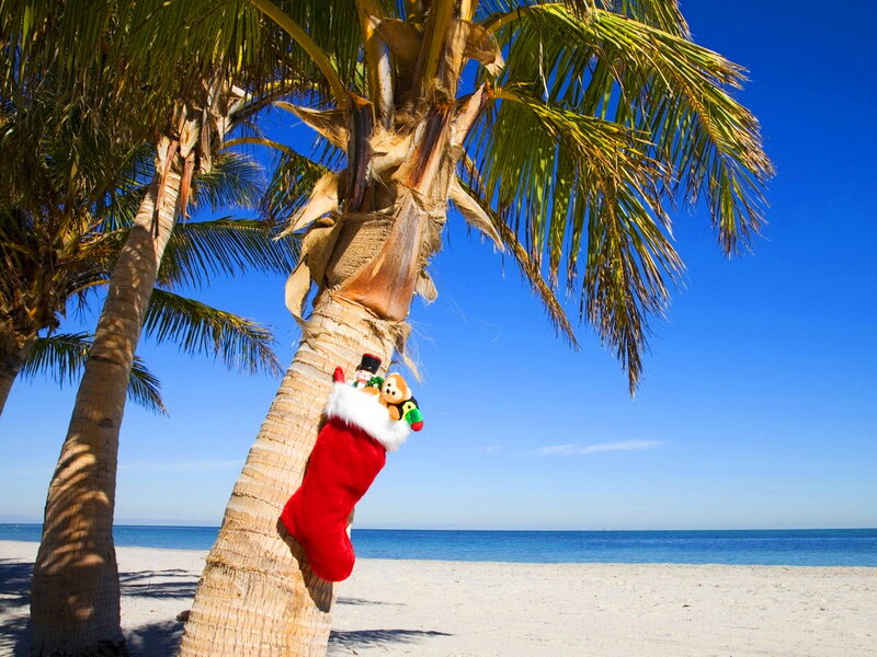 Christmas Stocking on Palm Tree — Blue