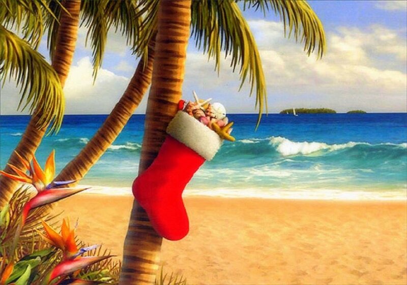 Christmas Stocking on Palm Tree — Red