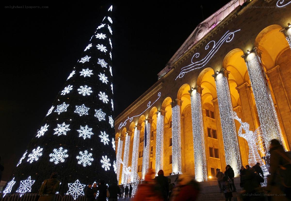 Christmas tree and building lights