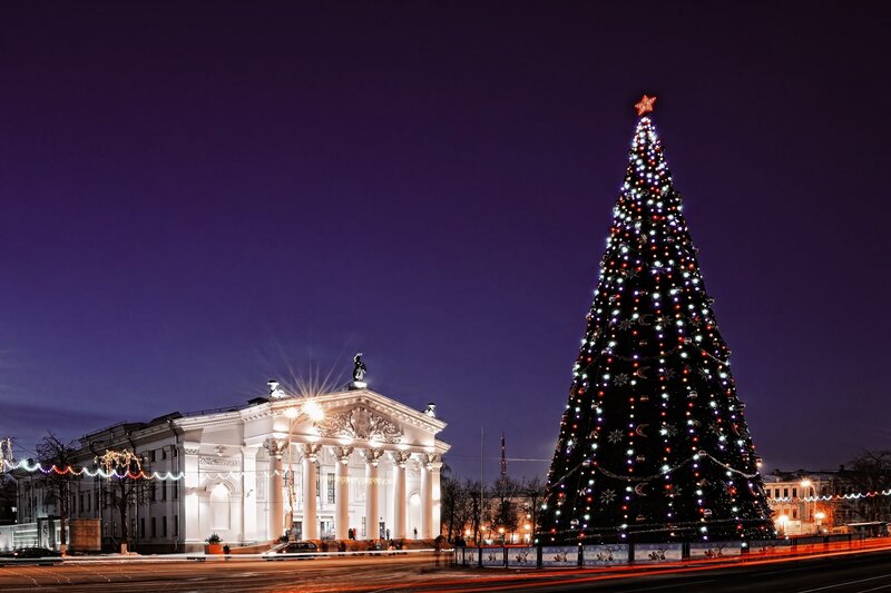 Christmas Tree and Building