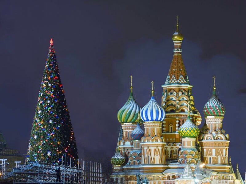 Christmas Tree and Cathedral