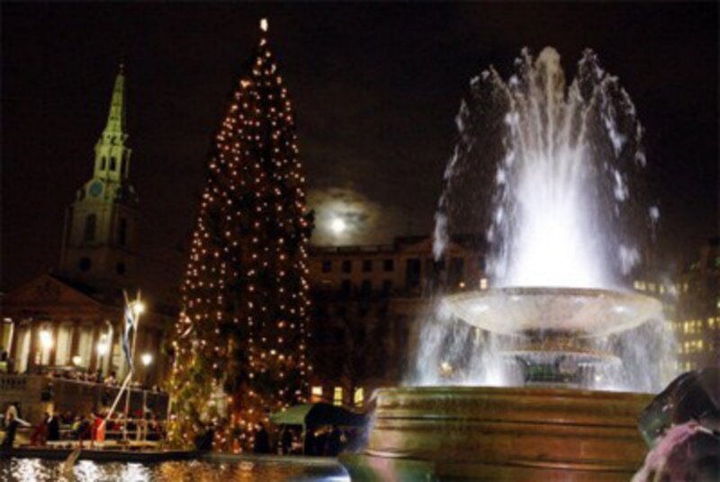 Christmas tree and fountain at night