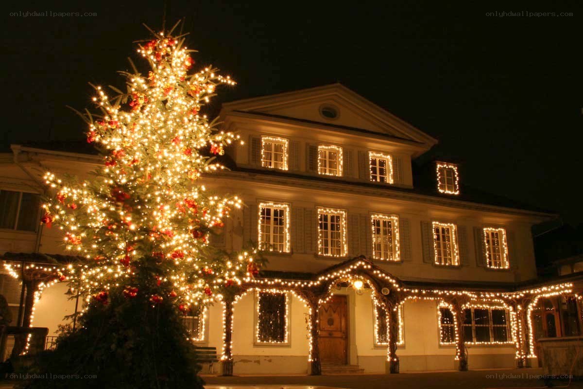 Christmas tree and house lights