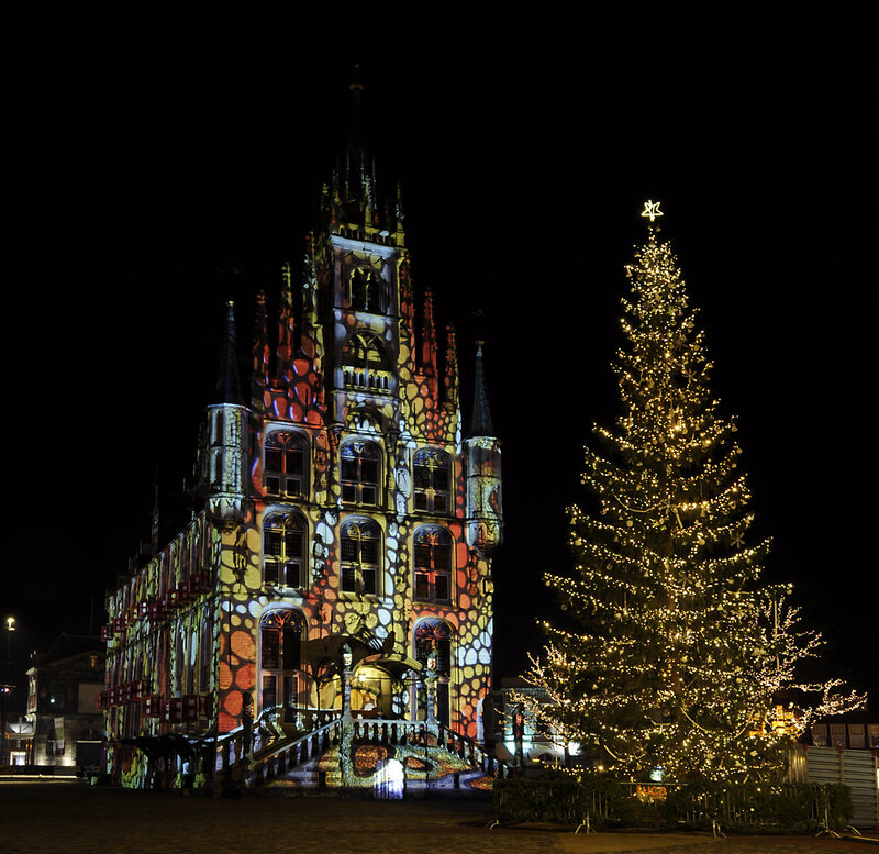 Christmas tree and illuminated building