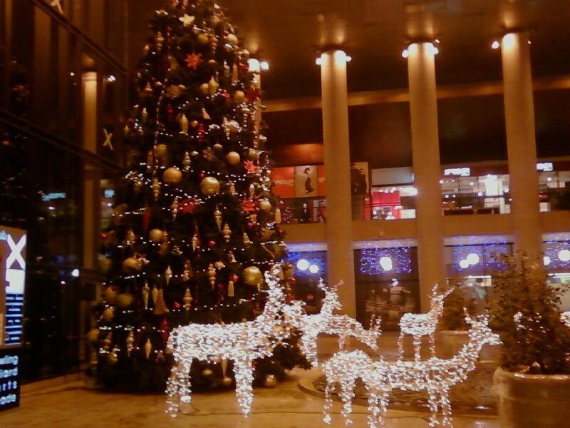Christmas Tree and Reindeer Lights