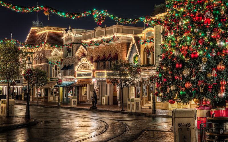 Christmas Tree and Street