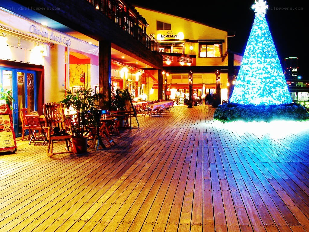 Christmas tree at beach cafe