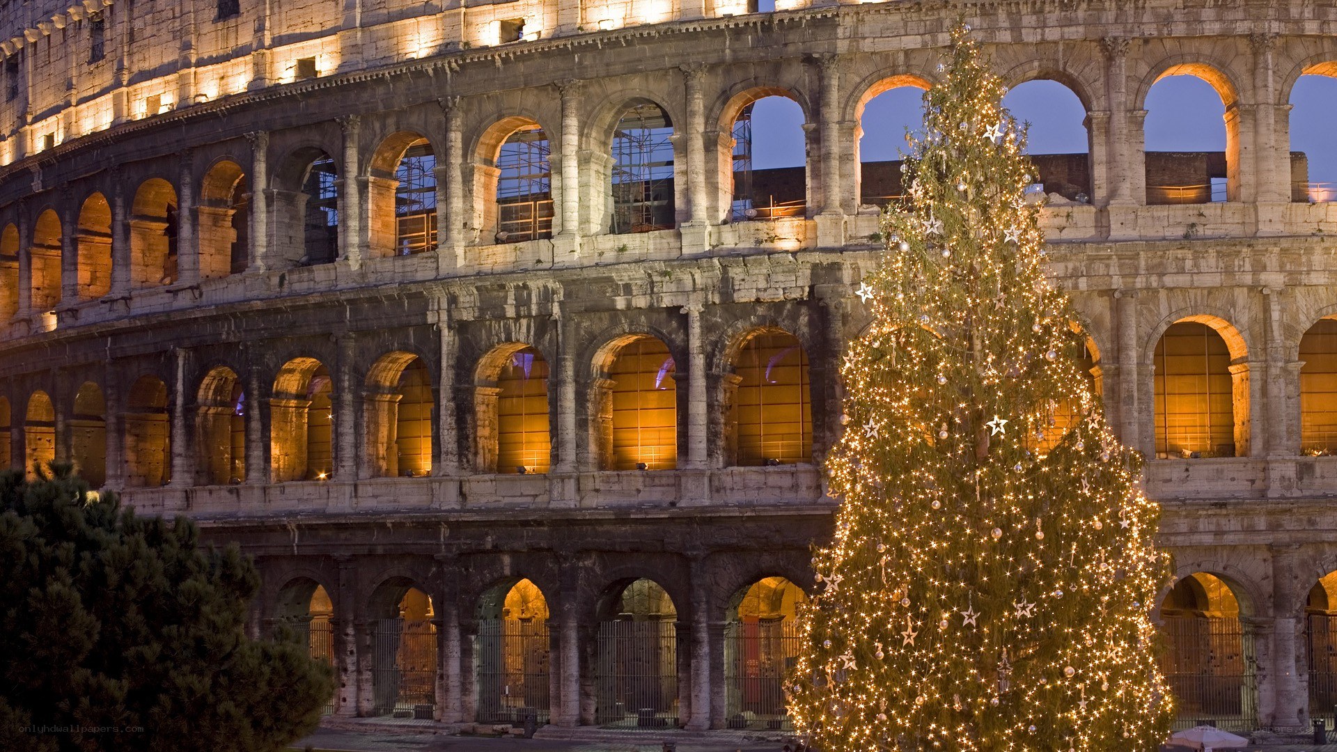 Christmas tree at Colosseum