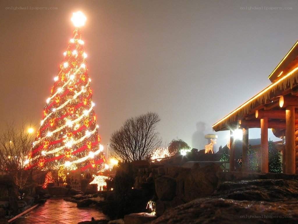 Christmas tree at night
