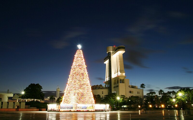 Christmas tree at night