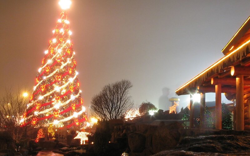 Christmas tree at night