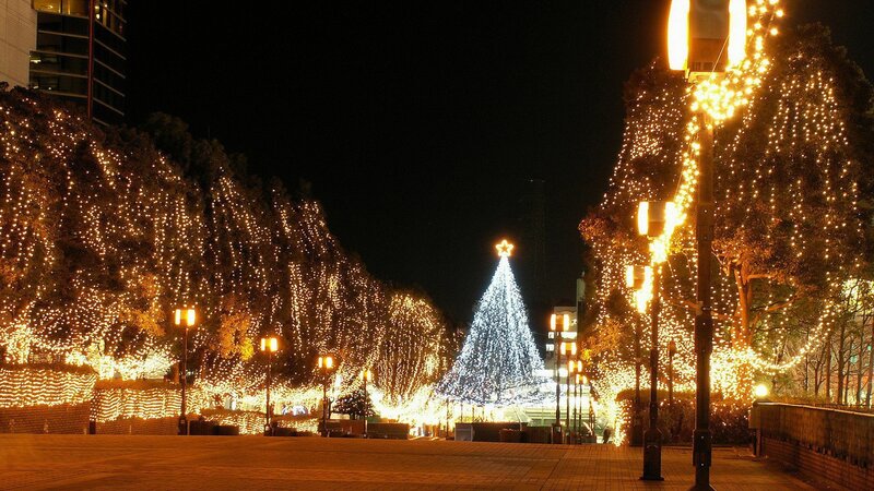 Christmas tree at night