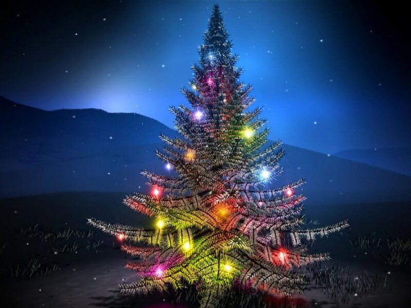 Christmas tree at night