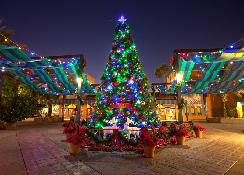 Christmas Tree at Night — Green, Festive, Photograph