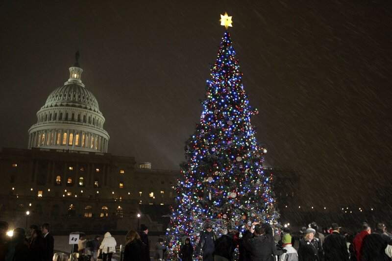 Christmas Tree at Night — Green, Festive