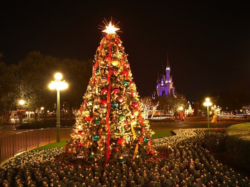 Christmas Tree at Night — Green
