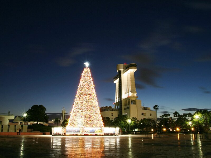 Christmas tree at night in Japan