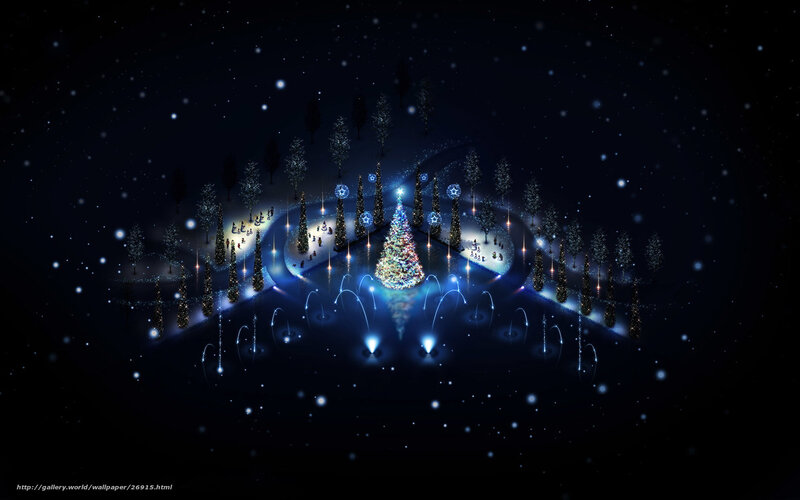 Christmas tree at night