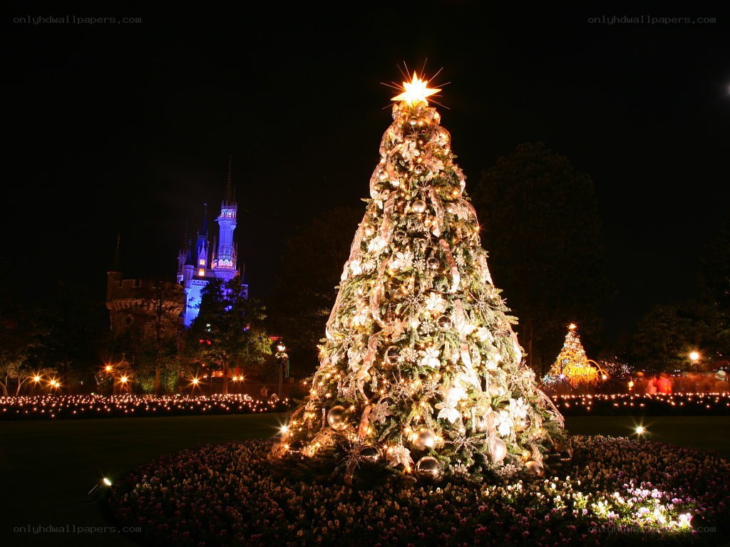 Christmas tree at night with castle
