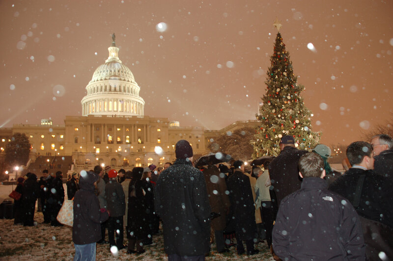 Christmas tree at US Capitol